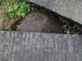 image of grave number 433343